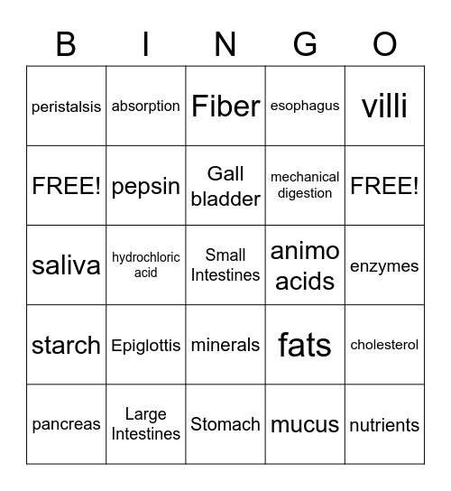 Olivia's digestion card Bingo Card