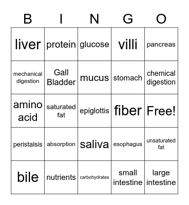 Jackson digestive Bingo Card