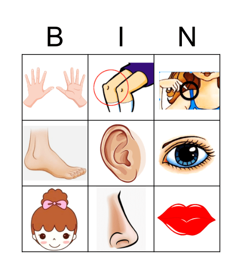 身体部位 Bingo Card