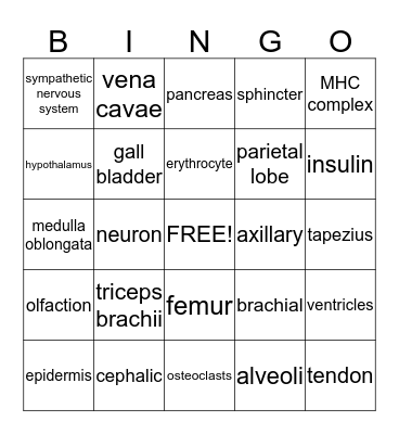 Anatomy Bingo Card