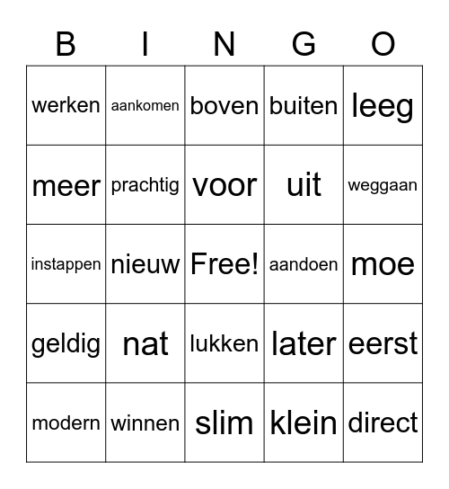 NN H9 Tegenstellingen Bingo Card