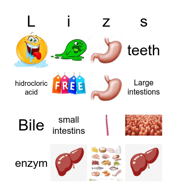 Lizzie"s Bingo card Bingo Card