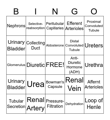 Urinary System Bingo Card