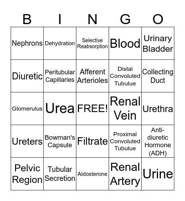 Urinary System Bingo Card