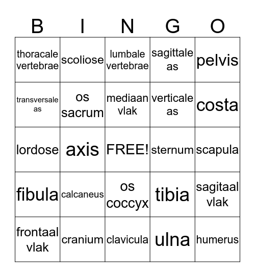 Anatomie Bingo Card