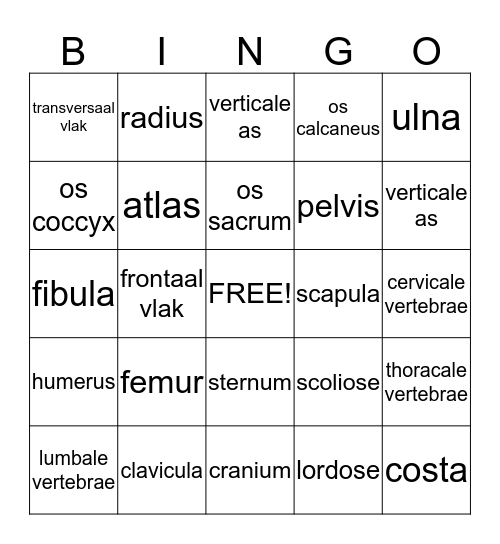 Anatomie I Bingo Card