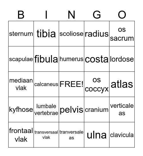 anatomie 1 Bingo Card