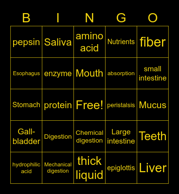 Vinny-Digestion:) Bingo Card