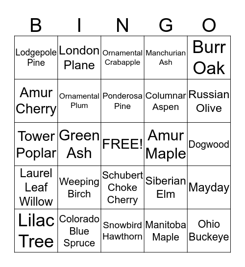 Tree Bingo! Bingo Card