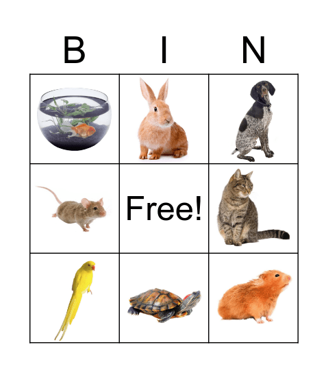 BIN Bingo Card