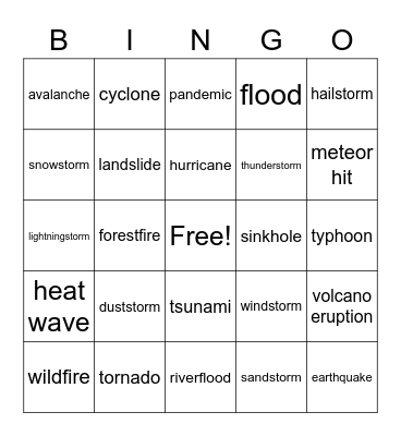 Natural Disasters Bingo Card