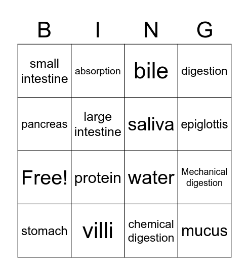 Eli Bingo Card