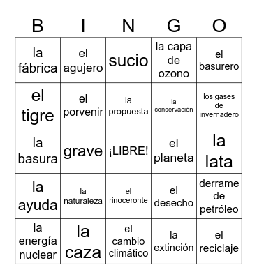 El Medio Ambiente (Physical Environment) Bingo Card