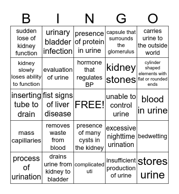 urinary system Bingo Card