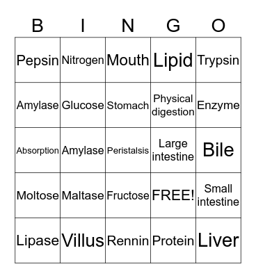 Digestion System Bingo Card
