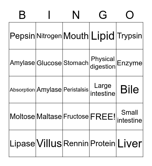 Digestion System Bingo Card