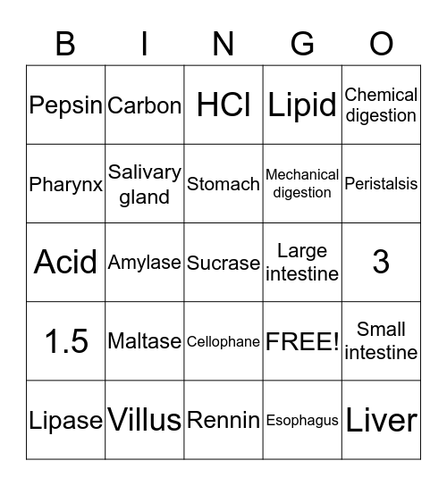 Digestion System Bingo Card