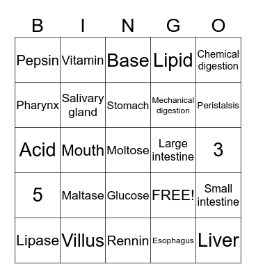 Digestion System Bingo Card