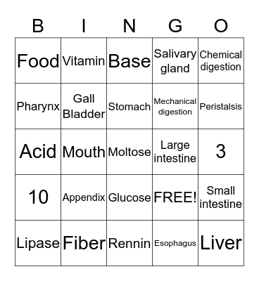Digestion System Bingo Card