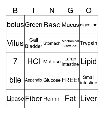 Digestion System Bingo Card