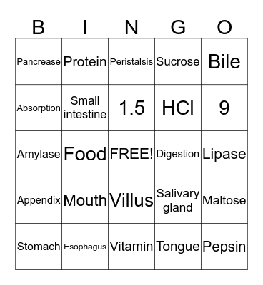 Digestive System Bingo Card