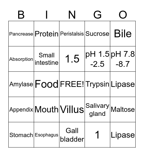 Digestive System Bingo Card