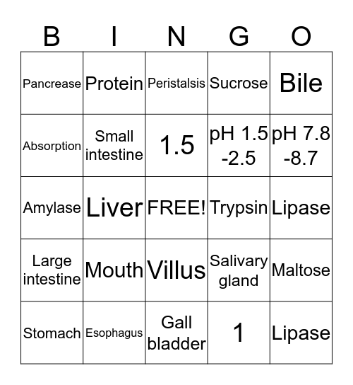 Digestive System Bingo Card