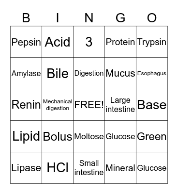 Digestive System Bingo Card