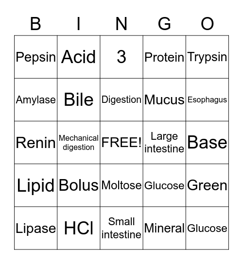 Digestive System Bingo Card