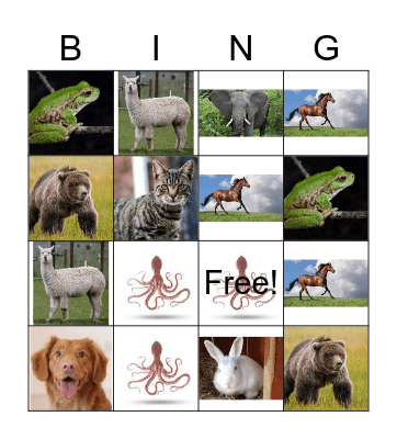 Animals images Bingo Card