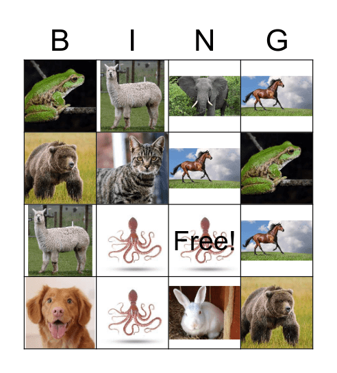 Animals images Bingo Card