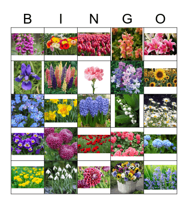 Flowers: How many can you remember? Bingo Card