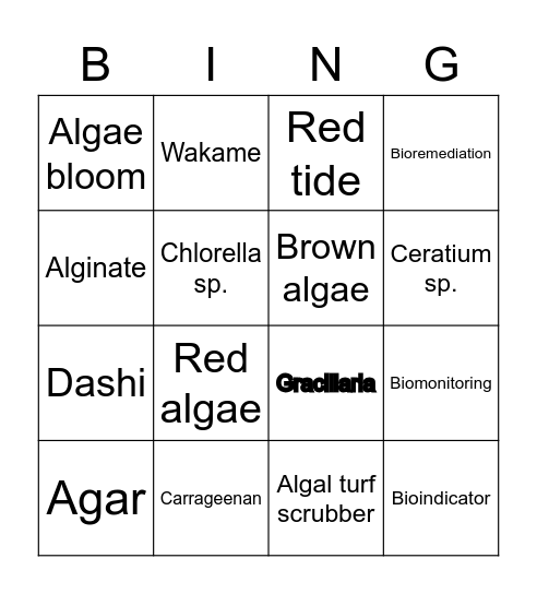 Algae Bingo Card
