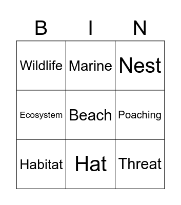 Sea turtles! Bingo Card