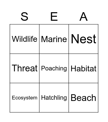 Sea Turtles! Bingo Card