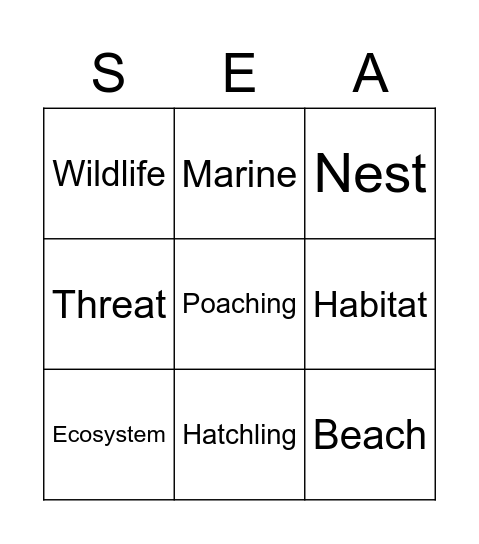 Sea Turtles! Bingo Card