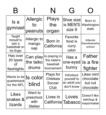 Stellan's 10th Birthday  Bingo Card