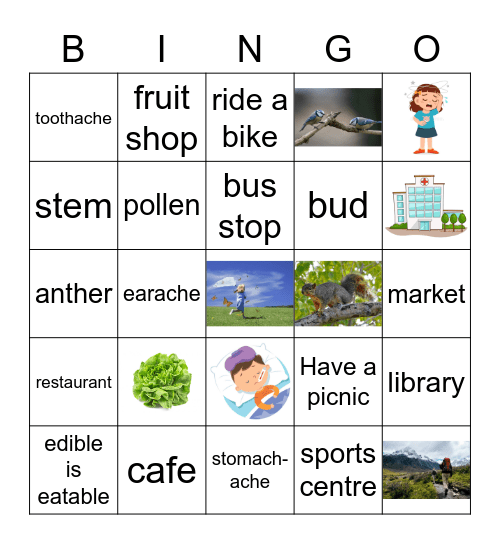 Semester 1 Review Bingo Card