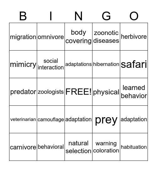 Zoology 3:  Land Animals of the Sixth Day Bingo Card