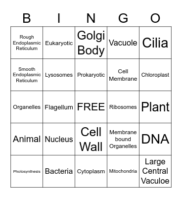 CELL REVIEW Bingo Card
