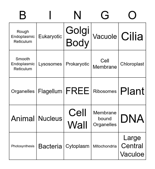 CELL REVIEW Bingo Card