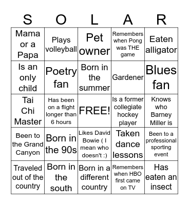 Solar Stik Bingo Card