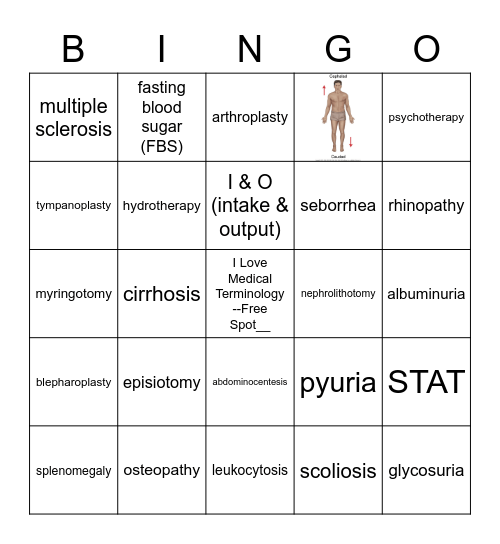 Medical Terminology Chapter 3 Additional Words Bingo Card