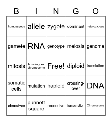 Genetics Bingo Card