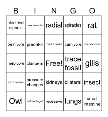 Nature of Science Bingo Card