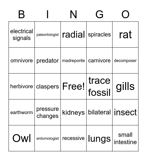 Nature of Science Bingo Card