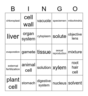 Revision Bingo Card