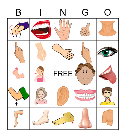 Body Parts Bingo Card