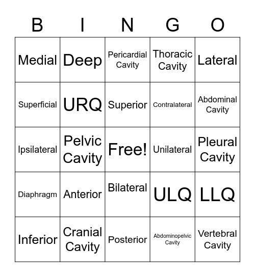 Anatomy DIrection Terms Bingo Card