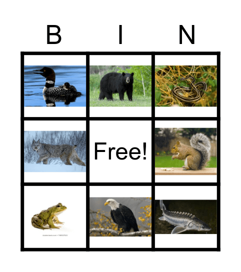 Aya'aawishag - Wild Animals Bingo Card